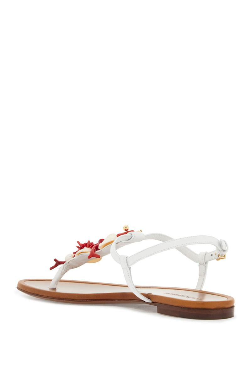 "nappa flip-flops with coral